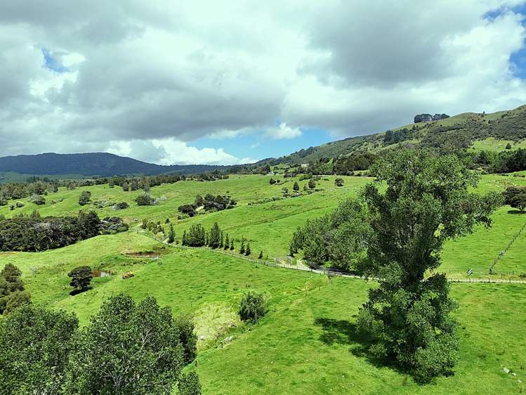 7046 State Highway 12 Waimamaku_11