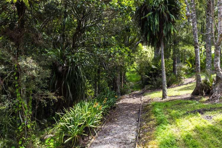 109 Blackbridge Road Dairy Flat_14