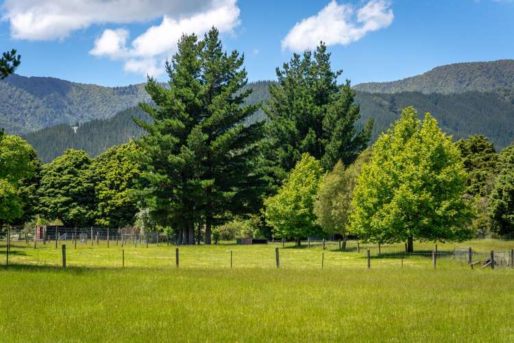 707 State Highway 1 Picton_8