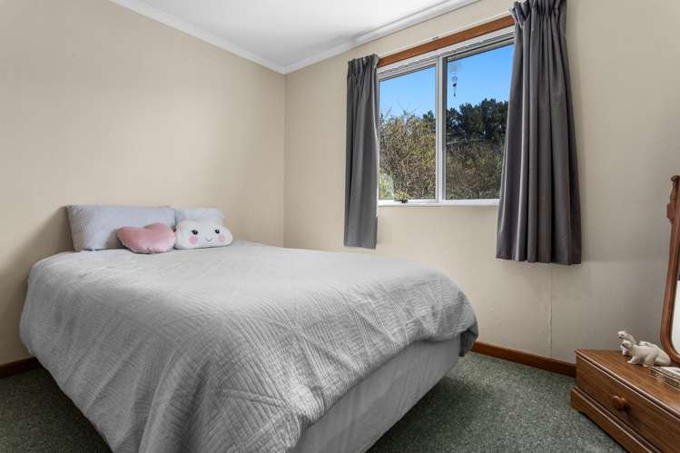 138 College Road Edgecumbe_6