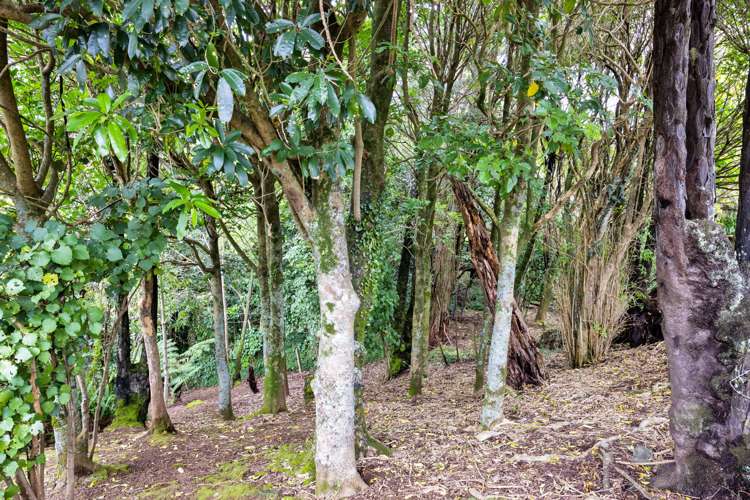 41 Tokomaru Street Welbourn_3