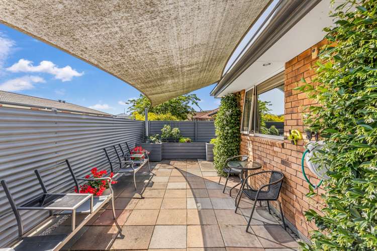 55 Taylor Pass Road Witherlea_14