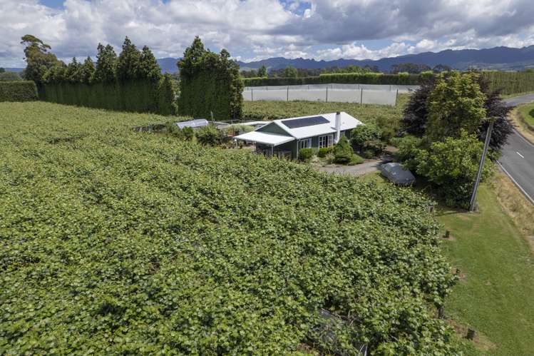 186 Beach Road Katikati_8