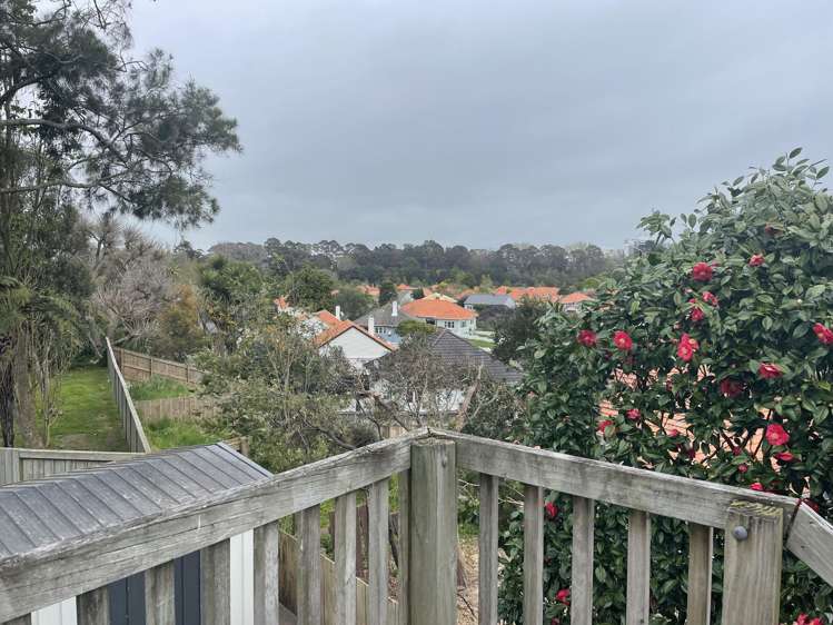 83A MacFarlane Street Hamilton East_8