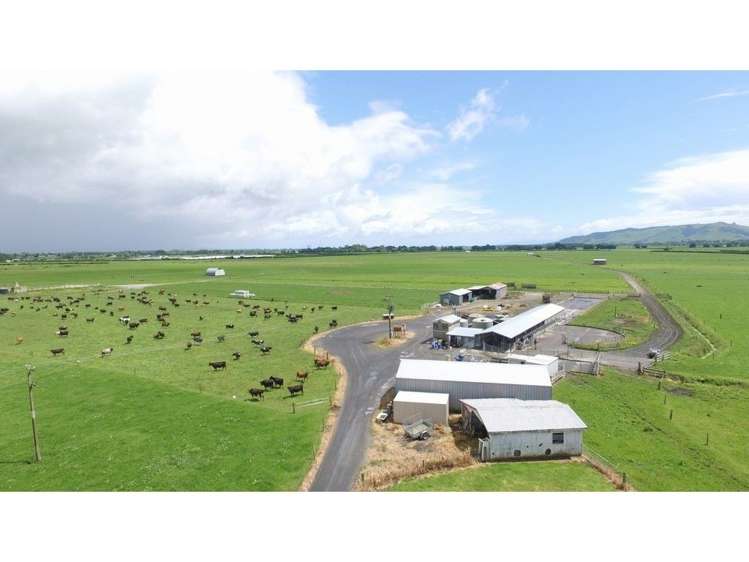 11/118 Bowler Road Te Aroha_0