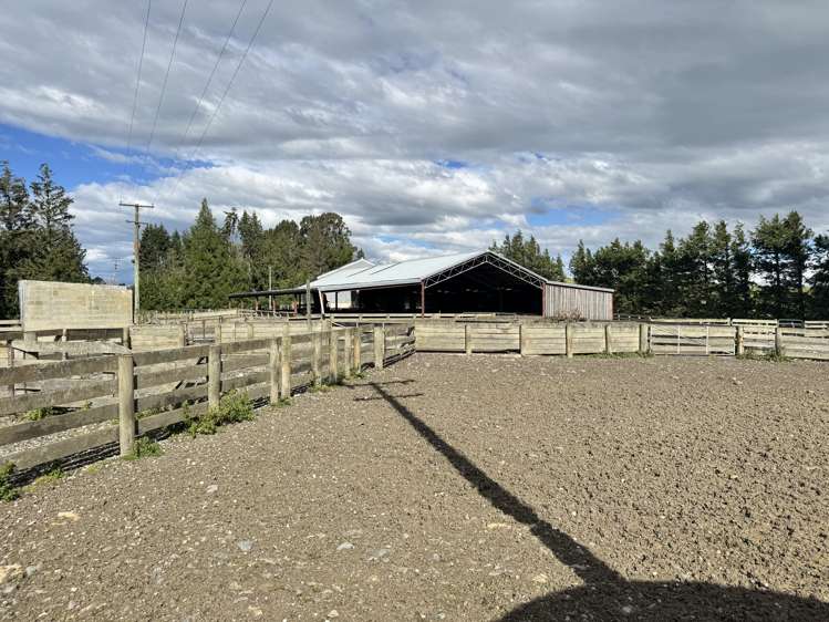 174 McCulloch Road Awamangu_22
