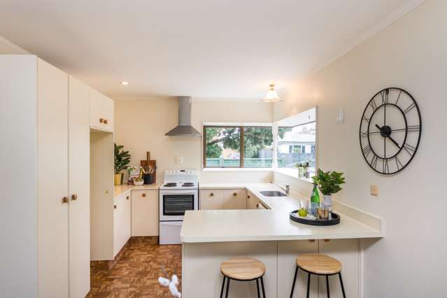 34a Puriri Terrace Roslyn_1