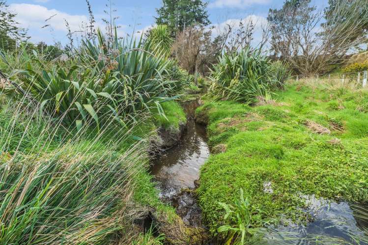 49B Dalbeg Road Balcairn_13