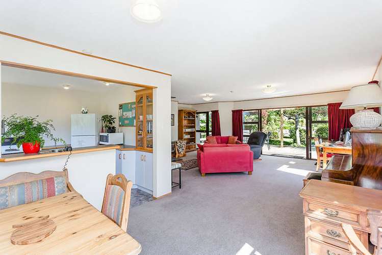 16 Allans Beach Road Portobello_6