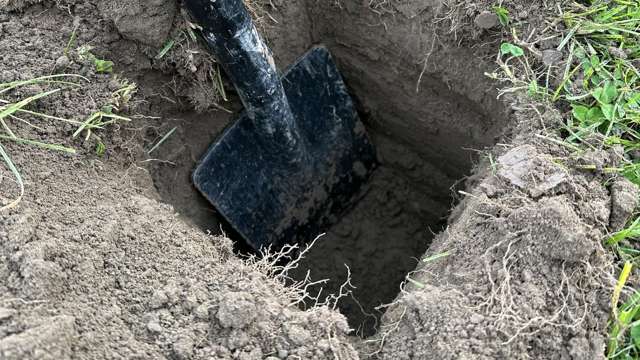 273b Diversion Road Featherston_2