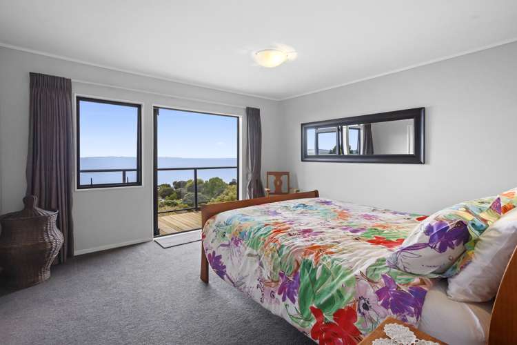 22a Springfield Avenue Ngarimu Bay_11