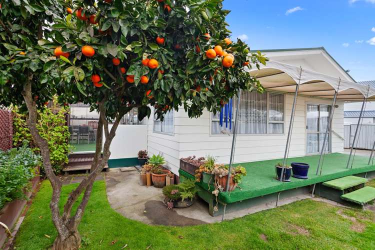 37 Puriri Crescent Edgecumbe_19