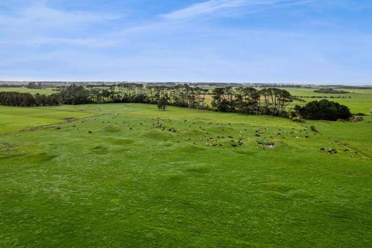 192 Upper Kina Road Oaonui_20