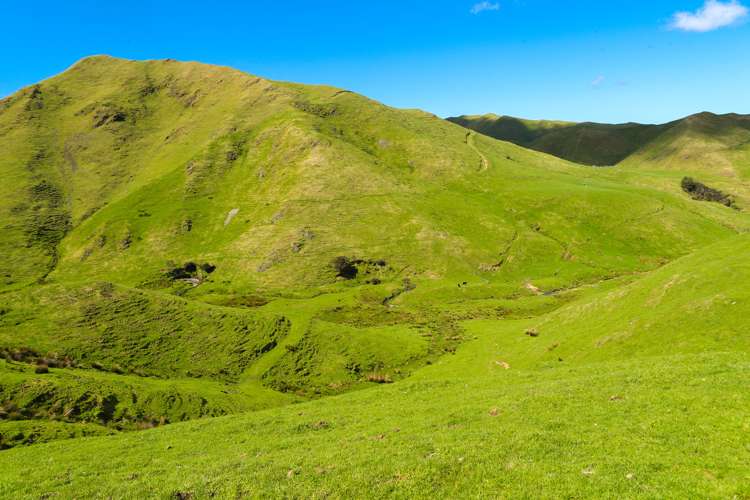 412 Tamaki West Road Dannevirke_19