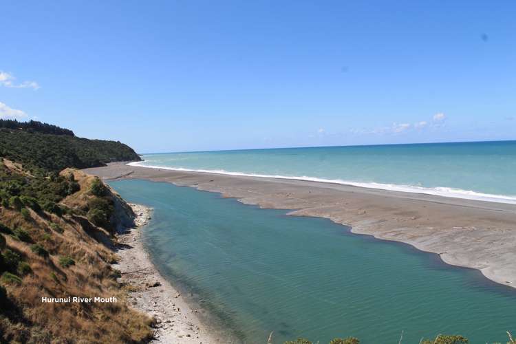 5 Powis Street Domett_15