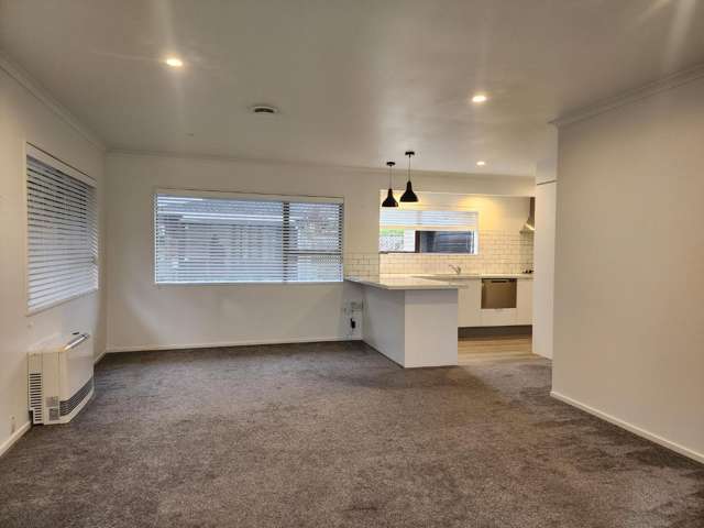 77a Tukapa Street Westown_1