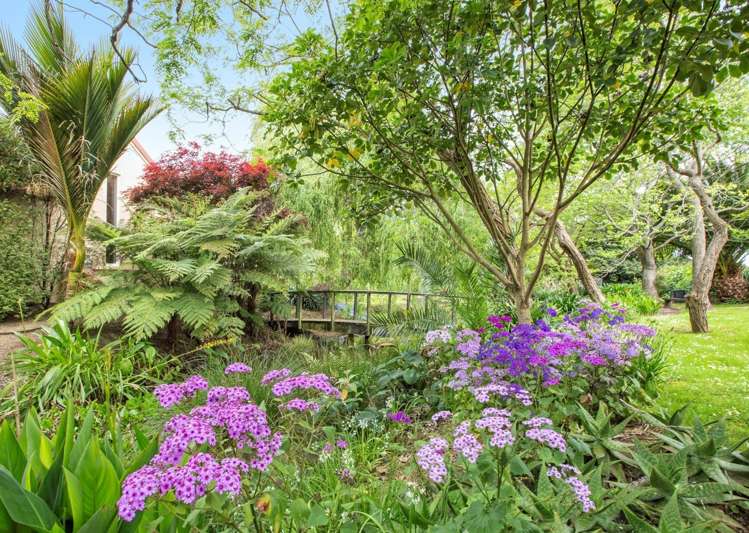 17 Alexander Court Pukekohe_12