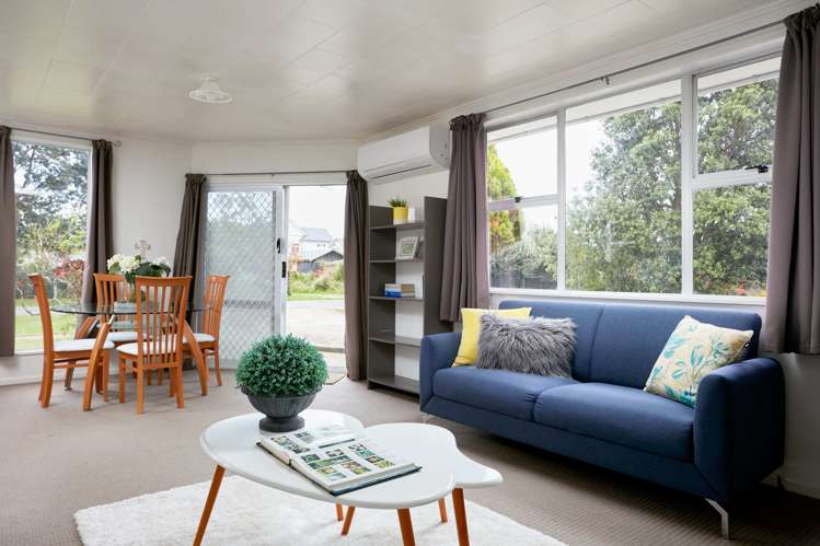 20 Hinaki Street Inner Kaiti_0