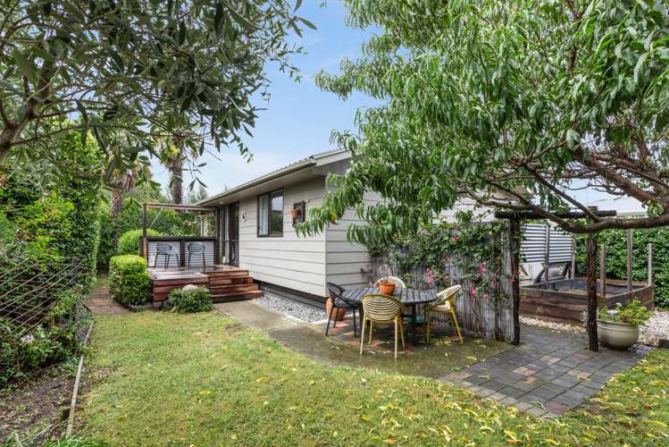 1/145 Gloucester Street Taradale_16