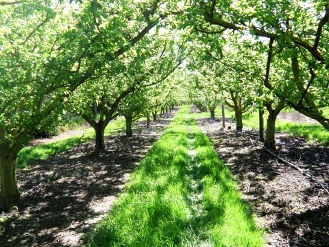 130 Teapot Valley Road Brightwater_2