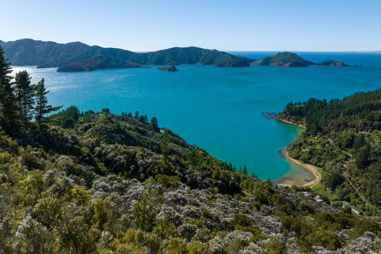 1786 Port Underwood Road Marlborough Sounds_53
