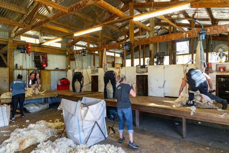 69 Titirangi Road Kenepuru Sounds_16