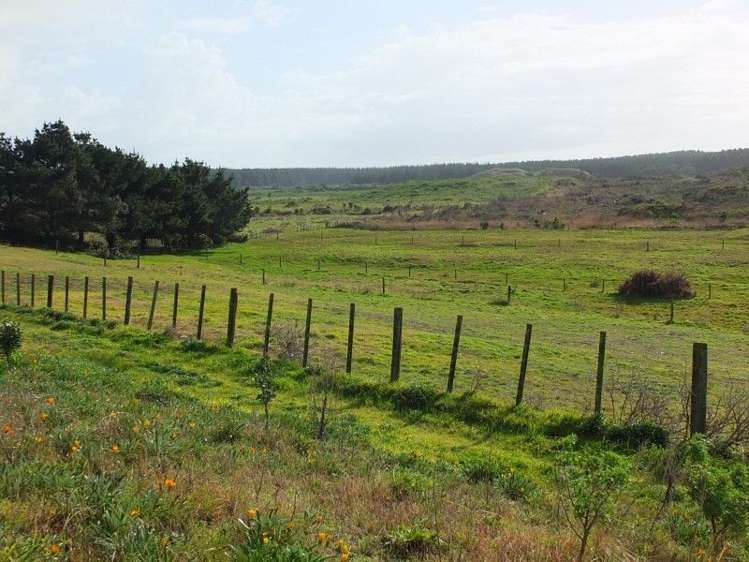 9a Andrews Street Foxton Beach_36