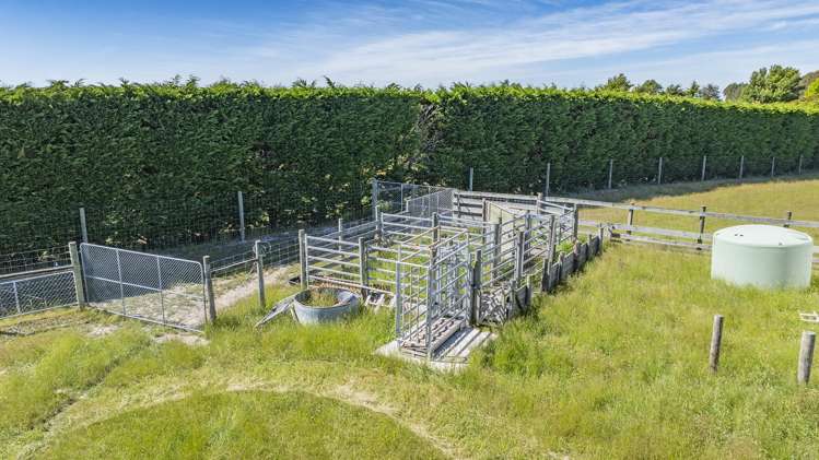 62 Bayley Road Fernside_26