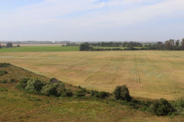 76 Corrigans Road Makikihi_6