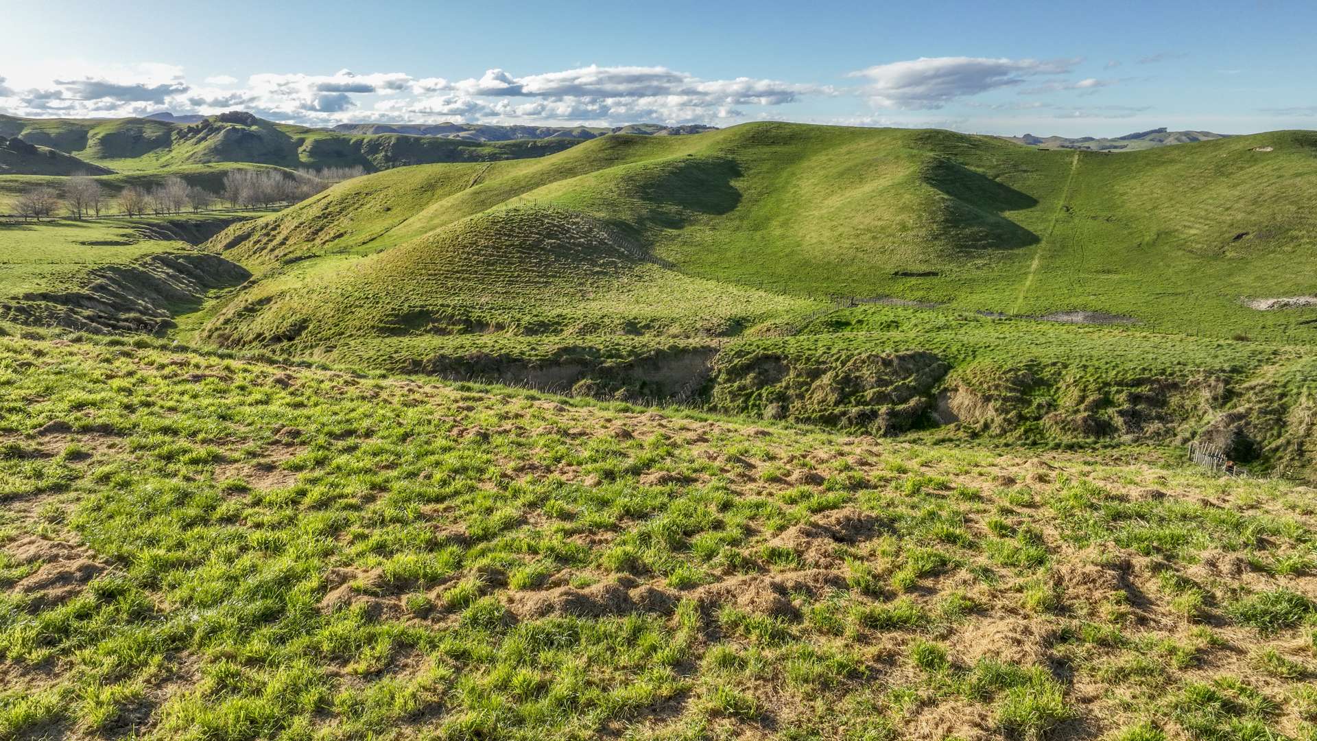 Kawera Road Central Hawkes Bay Coastal_0