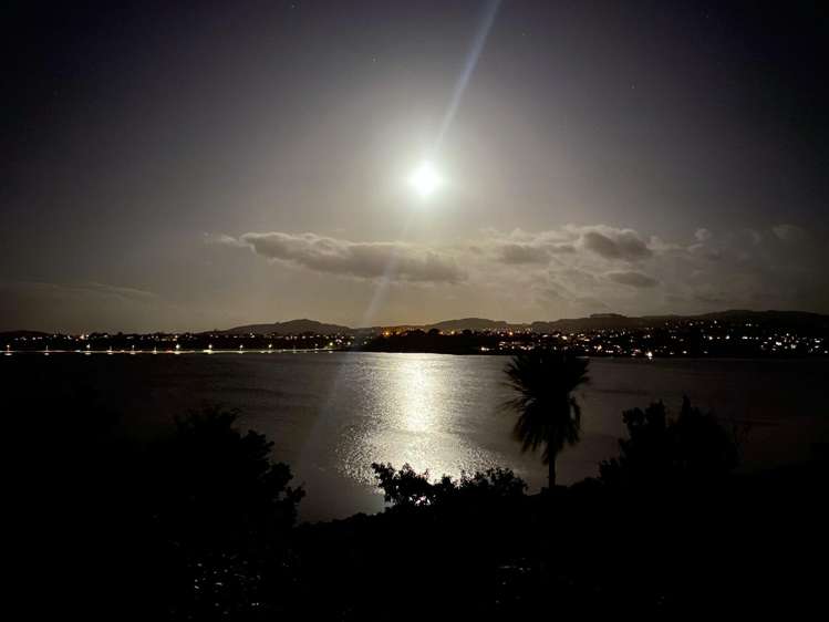 49 Baycroft Avenue Parkvale_42