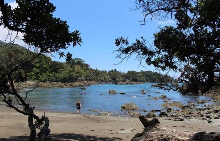 28/8361 State highway 35 Waihau Bay_10