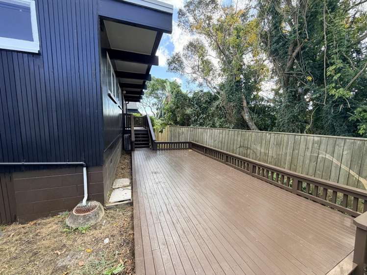 66 Elliott Avenue Glenfield_9