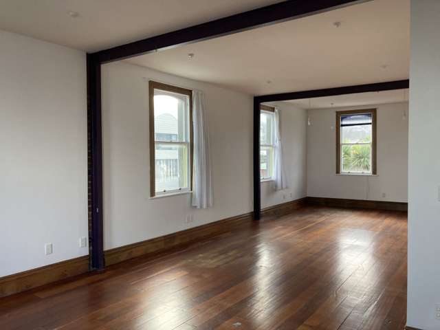 233 Jackson Street Petone_3