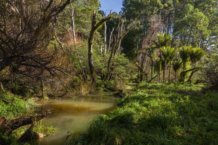 226 Peria Road Peria_15