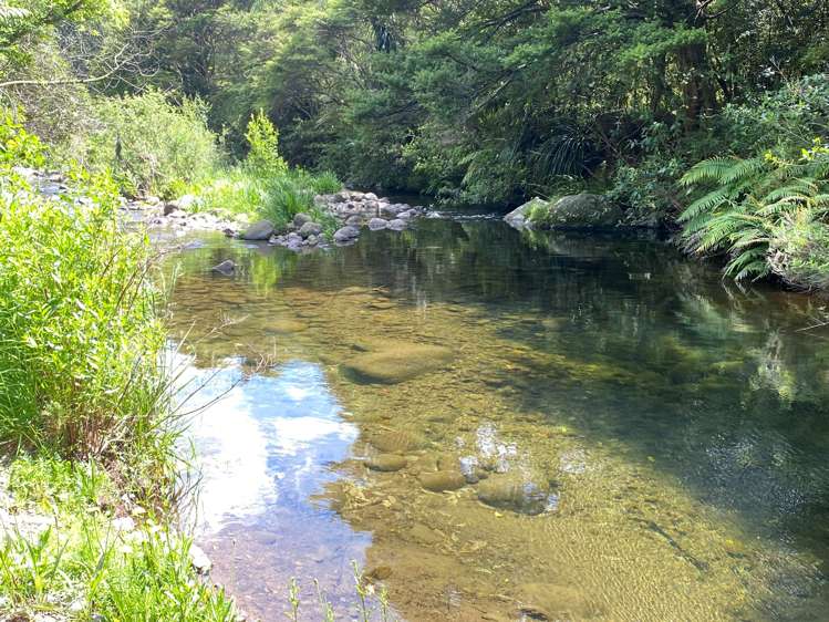 266e Hot Springs Road Hauraki Surrounds_11