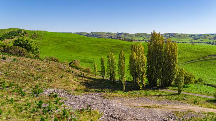 Admiral Road Gladstone_5