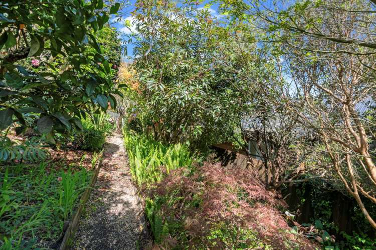 44 Blue Heron Rise Stanmore Bay_15