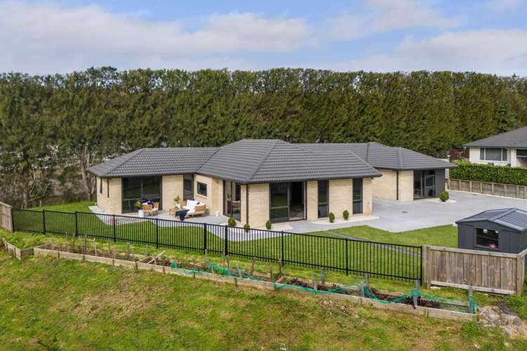 14 Layla Place Katikati_10