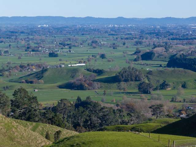 697 and 699 Maungakawa Road Cambridge_2