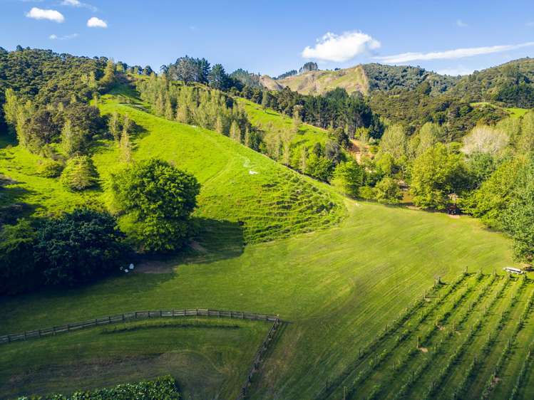 160A Twilight Road Clevedon_10