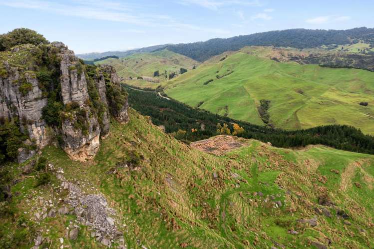 124 Haku Road Mangaotaki_6