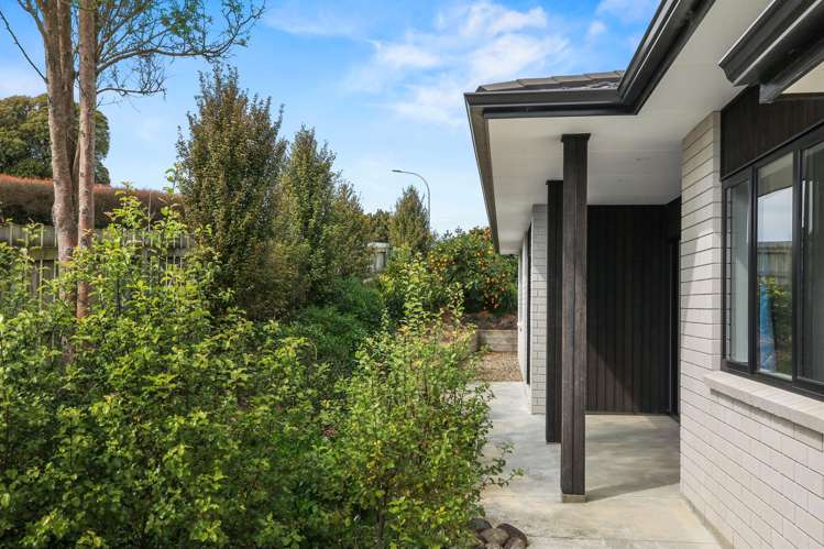 1045 Picquet Hill Road Te Awamutu_1