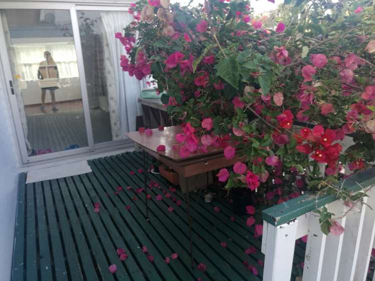31A Trinidad Road Sunnynook_7
