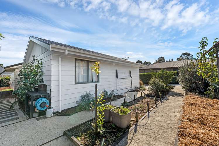 3b Westland Road Tuakau_21