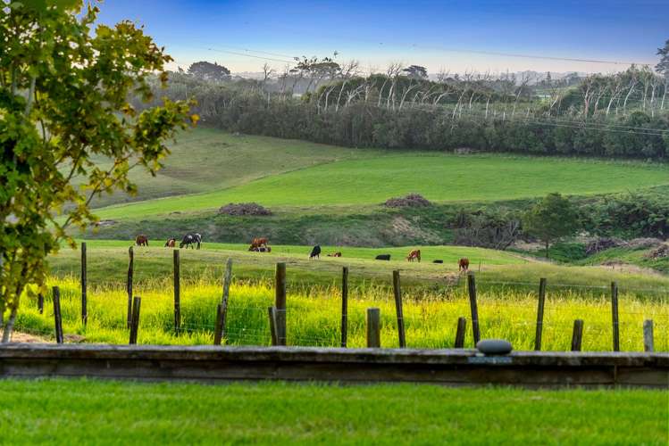 185 Woodhouse Road Patumahoe_51