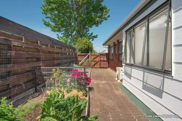 3b Kinross Place Place Mount Maunganui_9