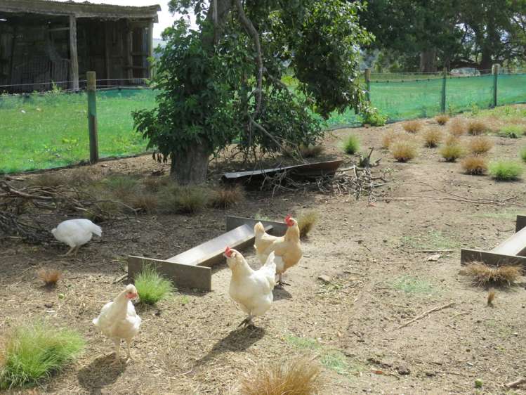 24 Waddle Road Gore Surrounds_12