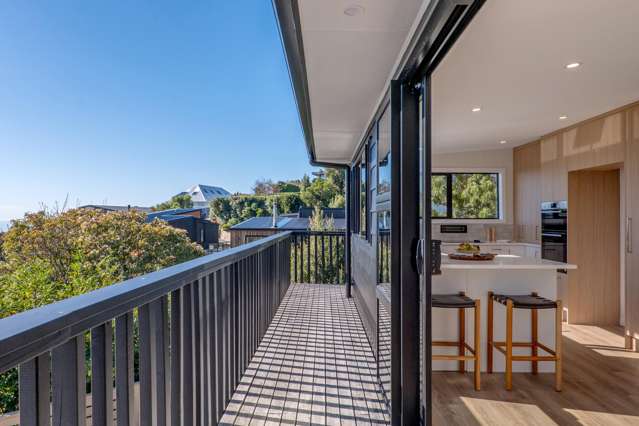 167 Soleares Avenue Mt Pleasant_4