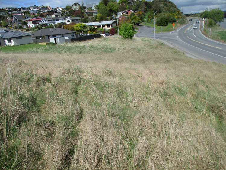 77 Hasborough Place Balclutha_6